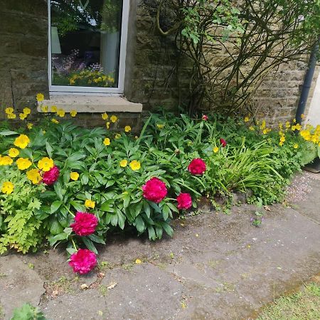 Mayfield Cottage Burtree Ford ภายนอก รูปภาพ