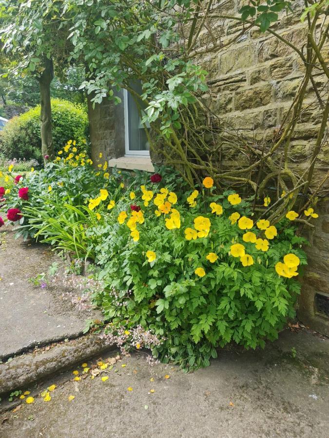 Mayfield Cottage Burtree Ford ภายนอก รูปภาพ