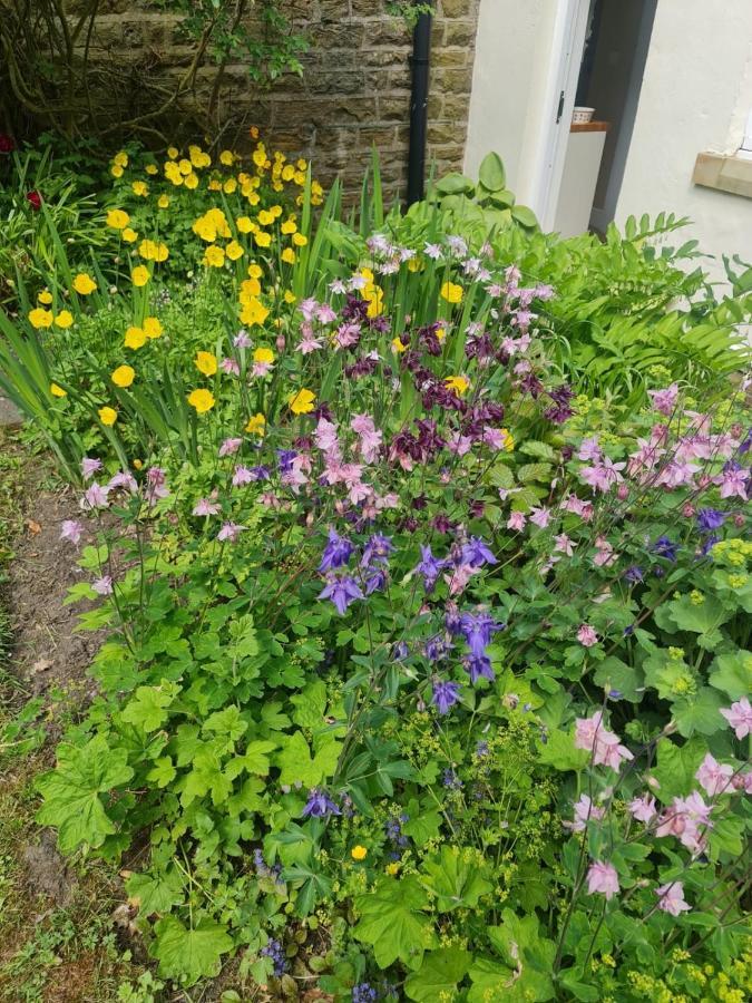 Mayfield Cottage Burtree Ford ภายนอก รูปภาพ