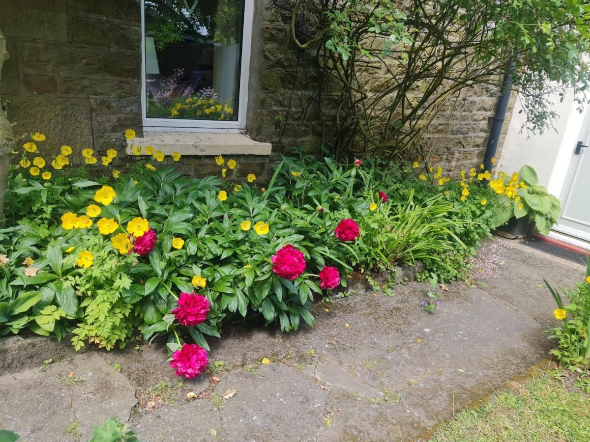 Mayfield Cottage Burtree Ford ภายนอก รูปภาพ