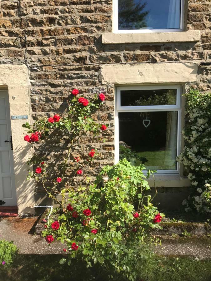 Mayfield Cottage Burtree Ford ภายนอก รูปภาพ